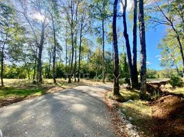  Terreno (Parcela) en venta en Chile, Villarrica, Cautín, Araucanía, Chile