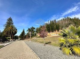  Terreno (Parcela) en venta en Biobío, Santa Juana, Concepción, Biobío