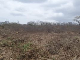 Terrain à vendre à Guayaquil, Guayas, Guayaquil, Guayaquil