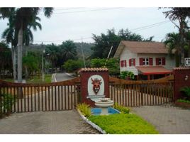  Land for sale in Daule, Muisne, Daule