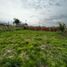  Land for sale in Uruguay Entre Rios, Uruguay, Entre Rios