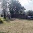 Maison 9 chambre à vendre à Ngamprah, West Jawa, Ngamprah