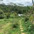  Terreno (Parcela) en venta en Darangdan, West Jawa, Darangdan