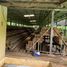 Terreno (Parcela) en venta en Darangdan, West Jawa, Darangdan