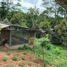  Terreno (Parcela) en venta en Darangdan, West Jawa, Darangdan