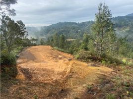  Land for sale in Medellin Antioquia, Medellin