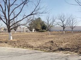  Land for sale in Matamoros, Coahuila, Matamoros