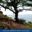  Land for sale in Tepus, Yogyakarta, Tepus, Gunung Kidul