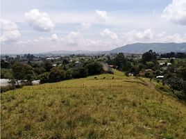 Terrain à vendre à El Carmen De Viboral, Antioquia, El Carmen De Viboral