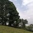 Terrain à vendre à El Carmen De Viboral, Antioquia, El Carmen De Viboral