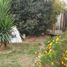  Terreno (Parcela) en venta en Cordillera, Santiago, Pirque, Cordillera