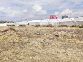  Terreno (Parcela) en alquiler en El Marques, Querétaro, El Marques, Querétaro