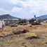  Terreno (Parcela) en alquiler en El Marques, Querétaro, El Marques, Querétaro