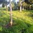  Land for sale in Selemadeg, Tabanan, Selemadeg