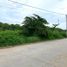  Land for sale in Cordoba, Monteria, Cordoba