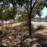  Land for sale in Compostela, Nayarit, Compostela