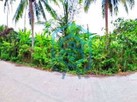  Land for sale in Cavite, Calabarzon, Alfonso, Cavite