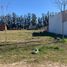 Terrain for sale in Balcarce, Buenos Aires, Balcarce