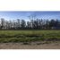  Terrain for sale in Balcarce, Buenos Aires, Balcarce
