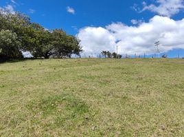  Terreno (Parcela) en venta en La Calera, Cundinamarca, La Calera