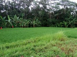  Land for sale in Tampak Siring, Gianyar, Tampak Siring