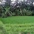  Land for sale in Tampak Siring, Gianyar, Tampak Siring