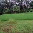  Land for sale in Tampak Siring, Gianyar, Tampak Siring