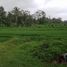  Land for sale in Tampak Siring, Gianyar, Tampak Siring