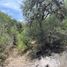 Land for sale in Dolores Hidalgo, Guanajuato, Dolores Hidalgo