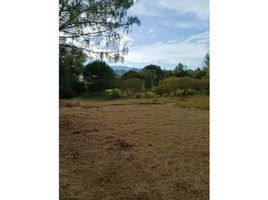  Terreno (Parcela) en venta en Marinilla, Antioquia, Marinilla