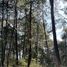  Land for sale in Chignahuapan, Puebla, Chignahuapan
