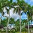  Terreno (Parcela) en venta en Santa Rosa City, Calabarzon, Santa Rosa City, Laguna