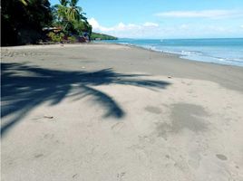  Grundstück zu verkaufen in Baru, Chiriqui, Limones, Baru