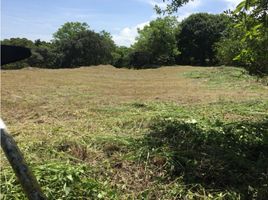  Grundstück zu verkaufen in San Carlos, Panama Oeste, Las Uvas