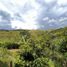 6 Bedroom Villa for sale in Samana, Caldas, Samana