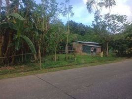  Land for sale in Majayjay, Laguna, Majayjay