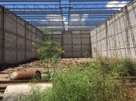512 SqM Office for rent in Coahuila, Torreon, Coahuila