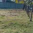  Land for sale in Centro, Tabasco, Centro, Tabasco