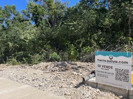  Land for sale in Playa del Carmen, Cozumel, Cozumel