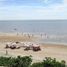  Land for sale in Chau Duc Ba Ria-Vung Tau, Da Bac, Chau Duc