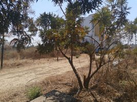  Terreno (Parcela) en venta en Huitzilac, Morelos, Huitzilac