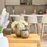 2 Bedroom Apartment for sale in Monterrey Nuevo Leon, Monterrey