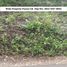 Land for sale in Tepus, Yogyakarta, Tepus, Gunung Kidul