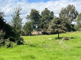 5 Schlafzimmer Villa zu verkaufen in Sotaquira, Boyaca, Sotaquira, Boyaca