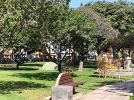 3 Schlafzimmer Wohnung zu verkaufen in San Borja, Lima, San Borja, Lima, Lima
