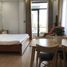 1 Bedroom Apartment for rent in An Hai Bac, Da Nang, An Hai Bac