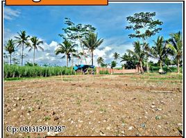  Land for sale in Kepanjen, Malang Regency, Kepanjen