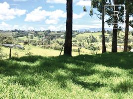  Land for sale in Rionegro, Antioquia, Rionegro