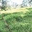  Land for sale in Rionegro, Antioquia, Rionegro