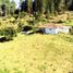  Land for sale in Rionegro, Antioquia, Rionegro